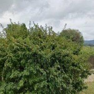 obrazek: avatar BK SERVIS CZ s.r.o.