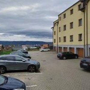 obrazek: avatar MAXIDOTY.CZ