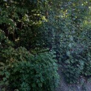 obrazek: avatar MILACH s.r.o.