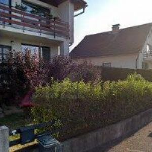 obrazek: avatar AIRBAGY-DILY.CZ