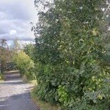 ŠEFR ZDENĚK-AUTOŠKOLA