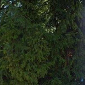 obrazek: avatar ŠÍMOVÁ MARTINA-DOČISTA