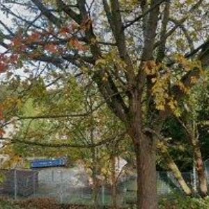 obrazek: avatar TORRIACARS s.r.o.