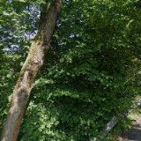 SOR LIBCHAVY spol. s r.o.