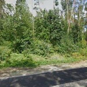 obrazek: avatar IGNITECH s.r.o.