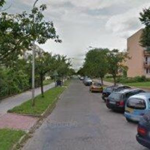 obrazek: avatar GERŽA JAN