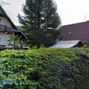 obrazek: avatar KMONÍČKOVÁ ZUZANA