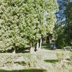 obrazek: avatar PERFECT ÚKLID