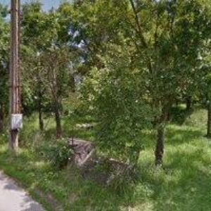 obrazek: avatar BOSH CAR SERVICE