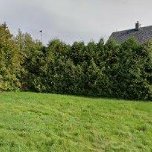 obrazek: avatar MENCL MILAN