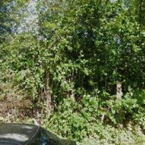 obrazek: avatar PUJCSIKARU.CZ