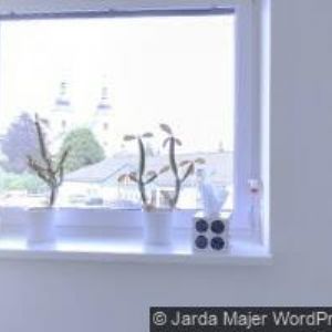 obrazek: avatar ELO TOMAN s.r.o.