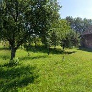 obrazek: avatar OLBENA OIL PRAHA s.r.o.