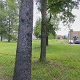 OMB COMPOSITES EU a.s.