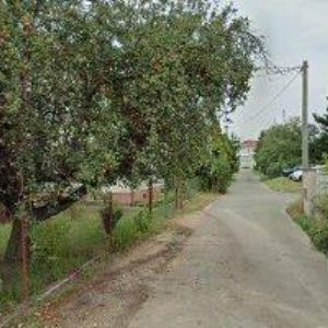 obrazek: avatar AUTOSHINE