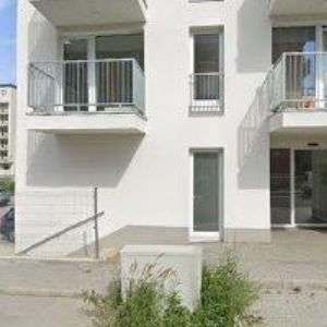 obrazek: avatar REBEL SPORT s.r.o.