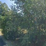 EBZ HOFFMANN, s.r.o.