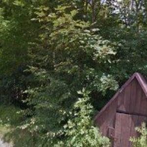 obrazek: avatar SPOLEHLIVE.NET