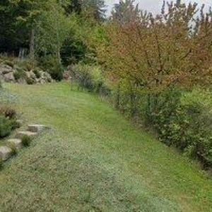 obrazek: avatar CK VIKING LINE