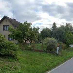 obrazek: avatar FRANCIS