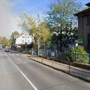 obrazek: avatar ČMELÁK SPOLEČNOST PŘÁTEL PŘÍRODY