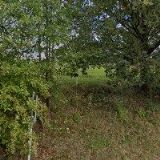 DŮM JÓGY V HLAVICI s.r.o.