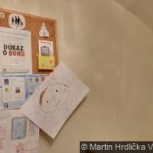 obrazek: avatar CA MARS