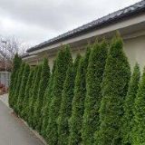 CESTOVNÍ AGENTURA PIKOLA