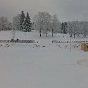 obrazek: avatar SKISERVIS MÁRA