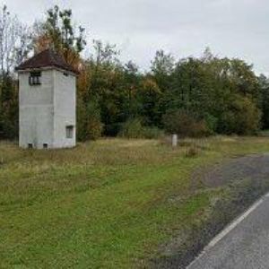 obrazek: avatar SPIDERGLASS