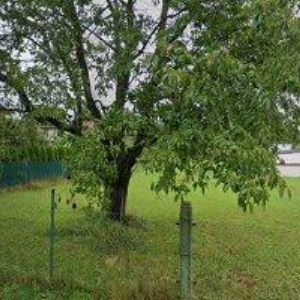 obrazek: avatar PRIVAT APARTMA ULRYCH