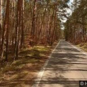 obrazek: avatar CHATOVÁ OSADA PLESAR