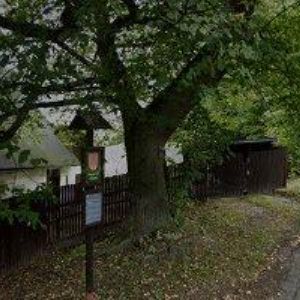 obrazek: avatar KRAFKOVÁ LENKA