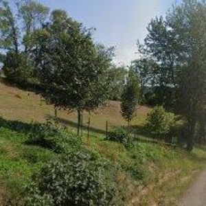 obrazek: avatar ŠMÍDOVÁ LUDMILA Ing.