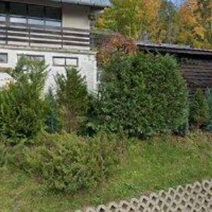 obrazek: avatar PENSION ALBON