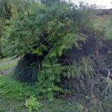 REKREAČNÍ DŮM U PEŠTŮ