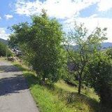 ZUZÁNEK JIŘÍ-UBYTOVÁNÍ A TRUHLÁŘSTVÍ