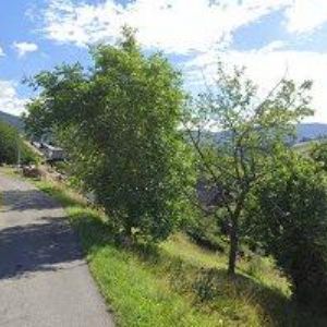 obrazek: avatar ZUZÁNEK JIŘÍ-UBYTOVÁNÍ A TRUHLÁŘSTVÍ