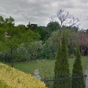 obrazek: avatar BREHMER GÜNTER