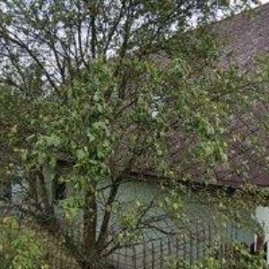 obrazek: avatar RESTAURACE A APARTMÁ CHLUM