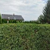 PLASGUROVÁ RENATA Mgr.