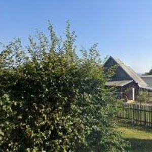 obrazek: avatar DŘEVĚNKA