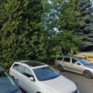 obrazek: avatar AGENTURA P