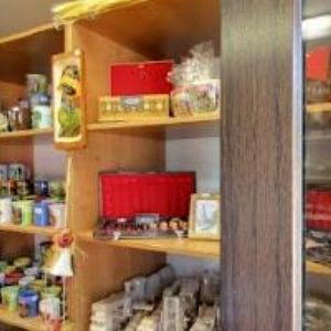 obrazek: avatar PENZION FREMR