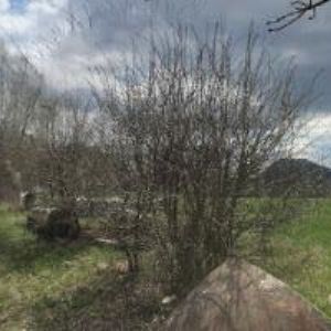 obrazek: avatar FABRIKA CVIKOV s.r.o.