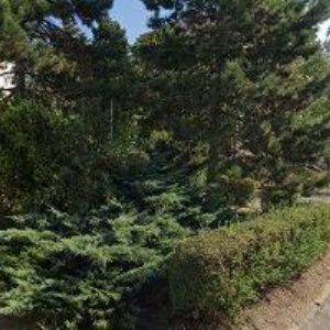 obrazek: avatar SQUASH ARENA s.r.o.