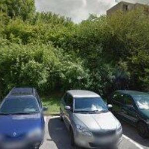 obrazek: avatar PŘEKLADY-RUŠTINA