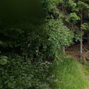 obrazek: avatar UBYTOVÁNÍ BENECKO-PENSION POCHOP