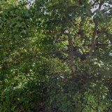 ZŠ U Soudu-ŠKOLNÍ JÍDELNA