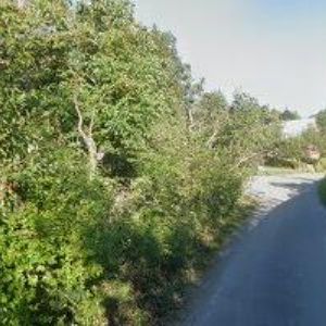 obrazek: avatar STATEK ONDŘÍKOVICE